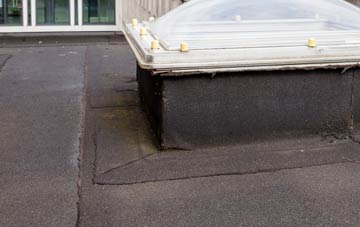 disadvantages of Earlesfield flat roofs
