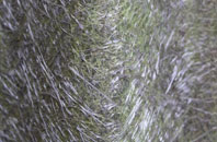 Earlesfield fibreglass roof work